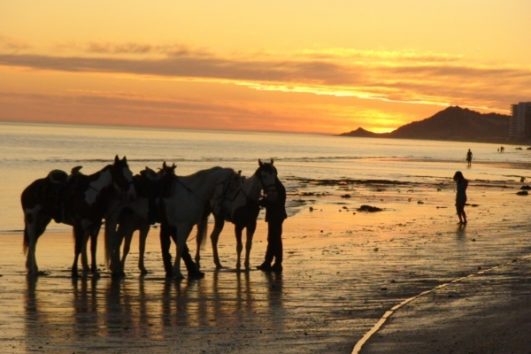 Paseos a Caballo