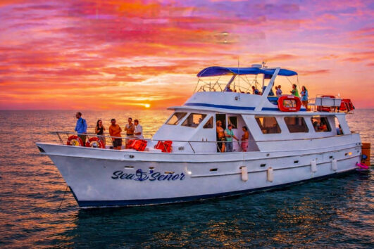 Crucero al Atardecer Sea Señor